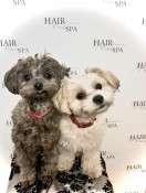 Zoey & Bogey - Salon Pups/Happiness Mascots